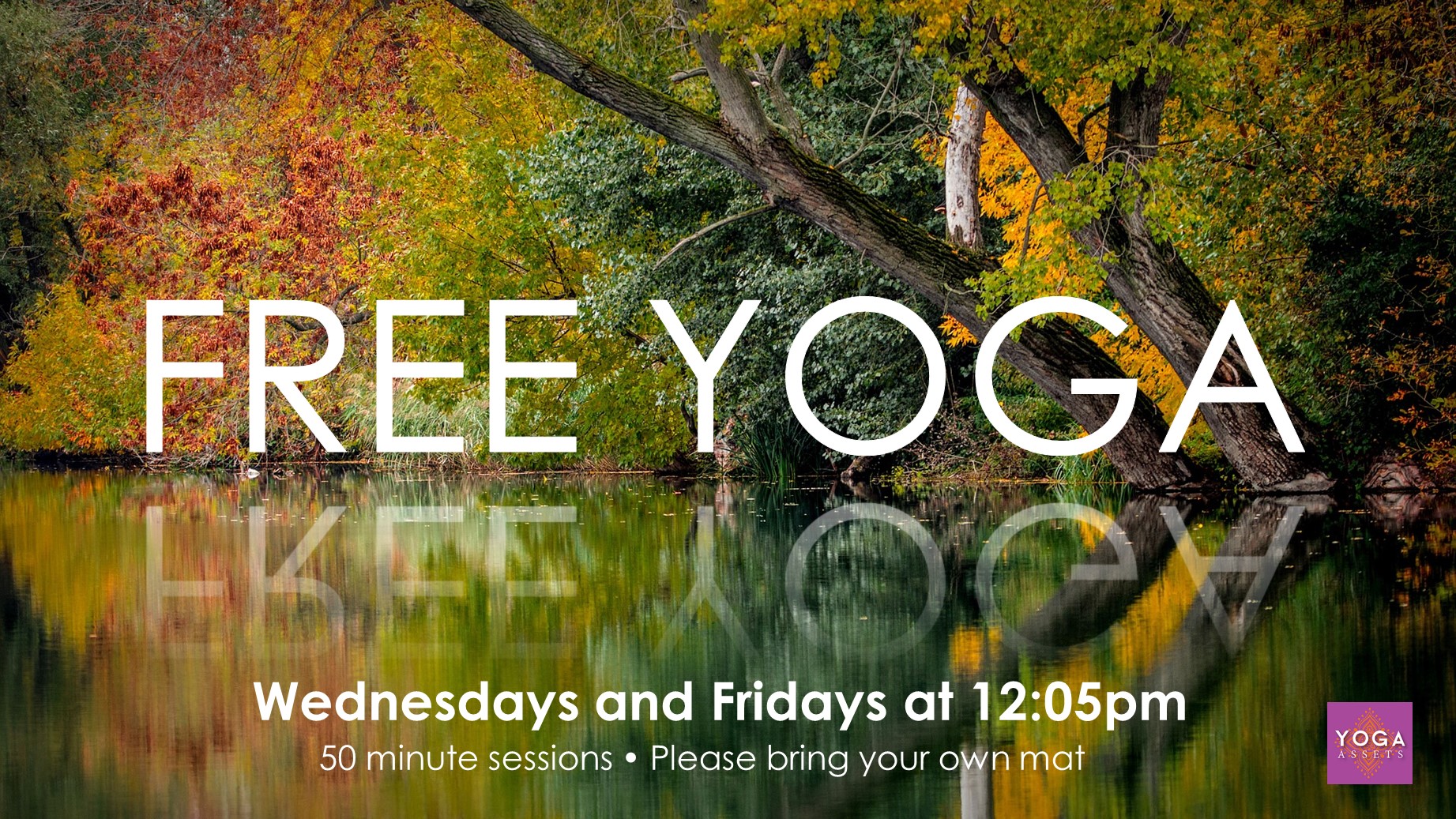 Free Yoga at EHSL