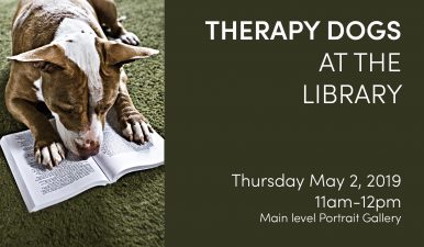 Therapy dogs at eccles library
