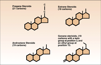 The structure of Acetoxyprogestins
